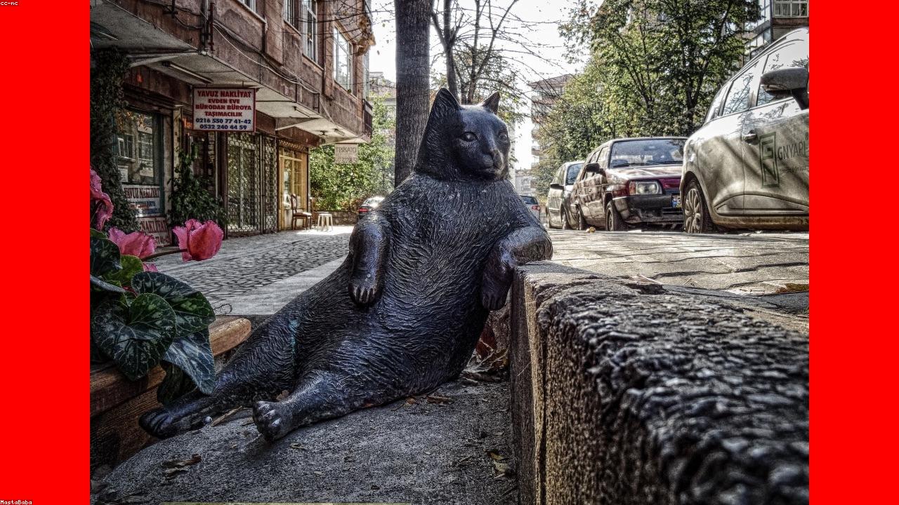 BC Place roof and field in daylight.